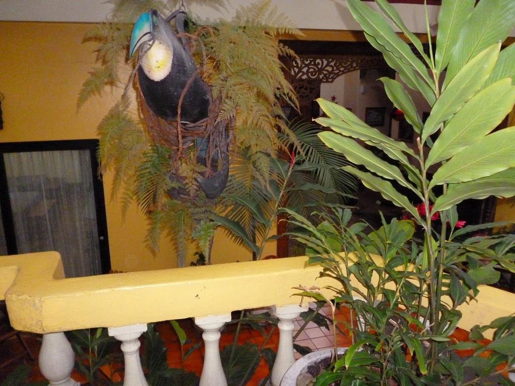 Hotel Don Carlos 聖荷西 外观 照片